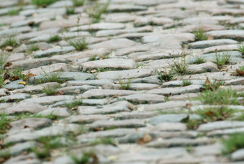 The magic of Paris-Roubaix